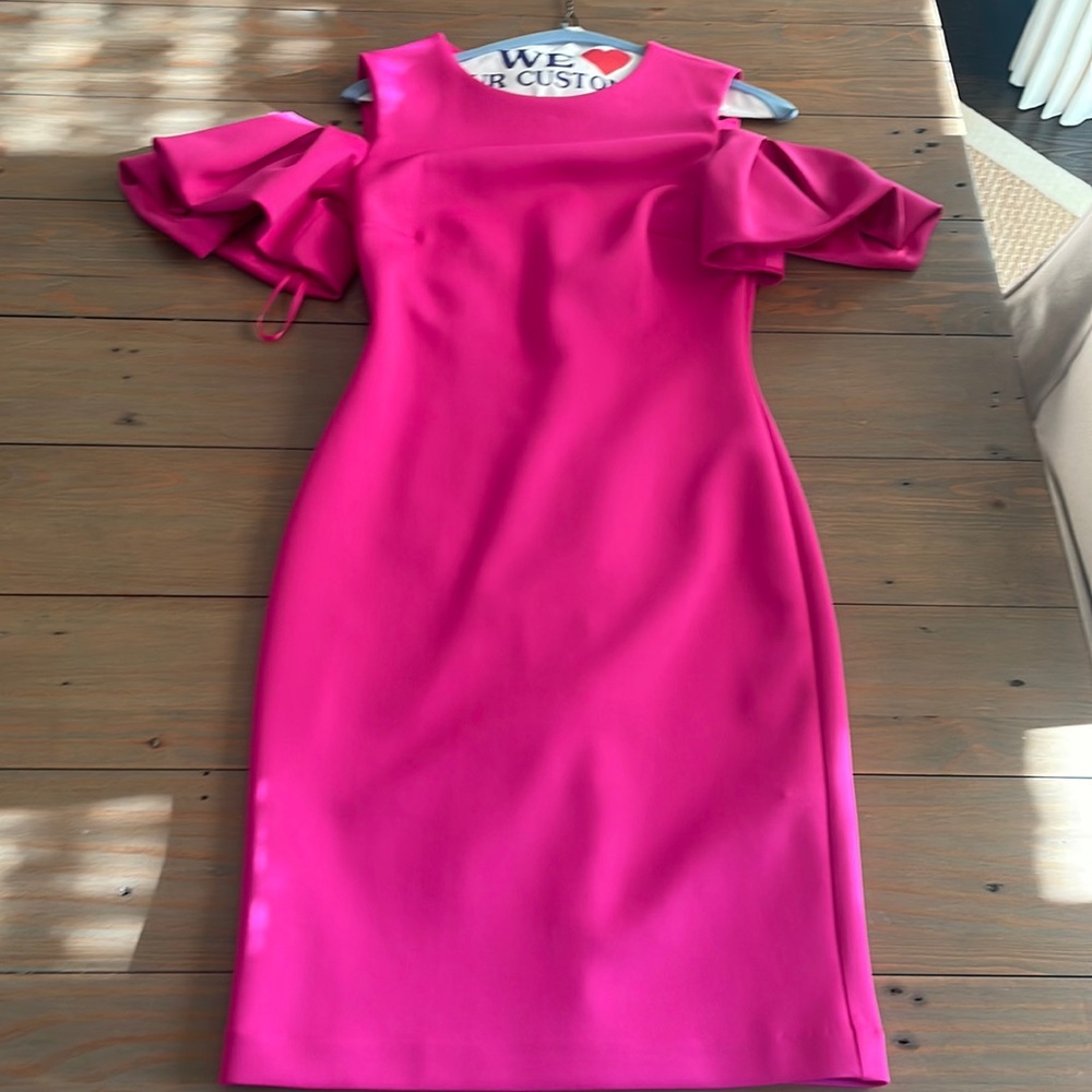 Ted Baker Size 0 pink formal dress